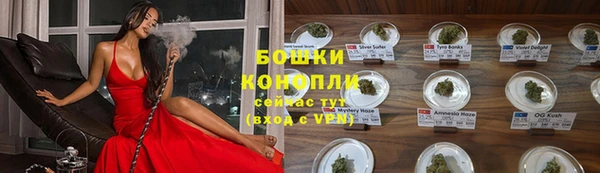 стафф Дмитровск