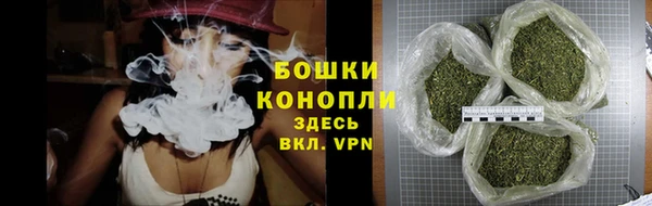 стафф Дмитровск