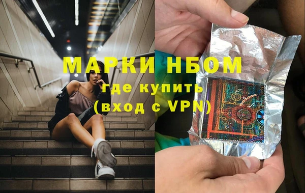 стафф Дмитровск