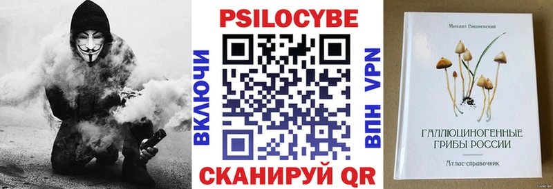 Купить  Боровск  Галлюциногенные грибы GOLDEN TEACHER 